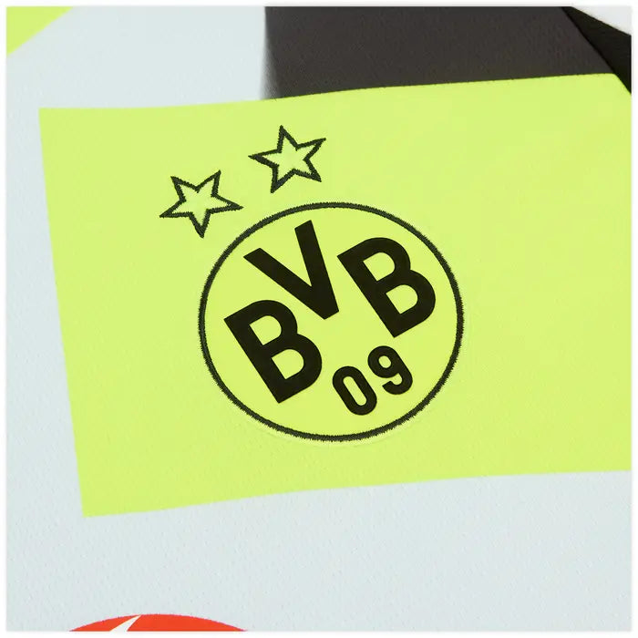 BORUSSIA DORTMUND 2025/26